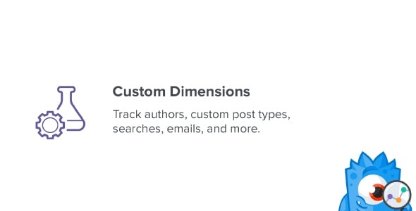 MonsterInsights – Custom Dimensions Addon 2.2.1