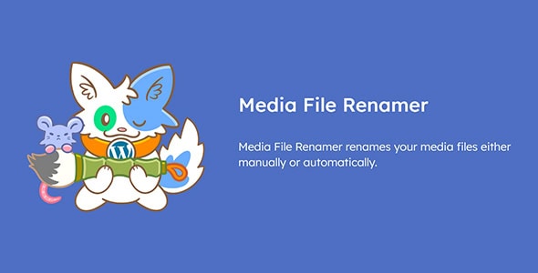 Media File Renamer Pro 6.2.4